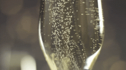 Champagne Bubbles