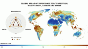 Global Priority Maps