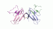 ORF8 Structure Ribbon Diagram