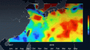 South China Sea Microplastic Concentration