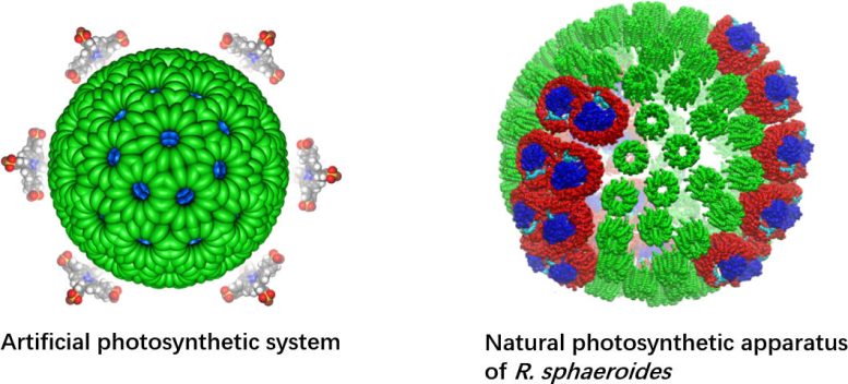 A Hierarchical Self Assembly Photocatalytic System