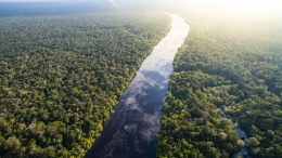 Amazon Rainforest Brazil