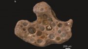 Archaeologists Discover Fossilized Oxygen Bubbles