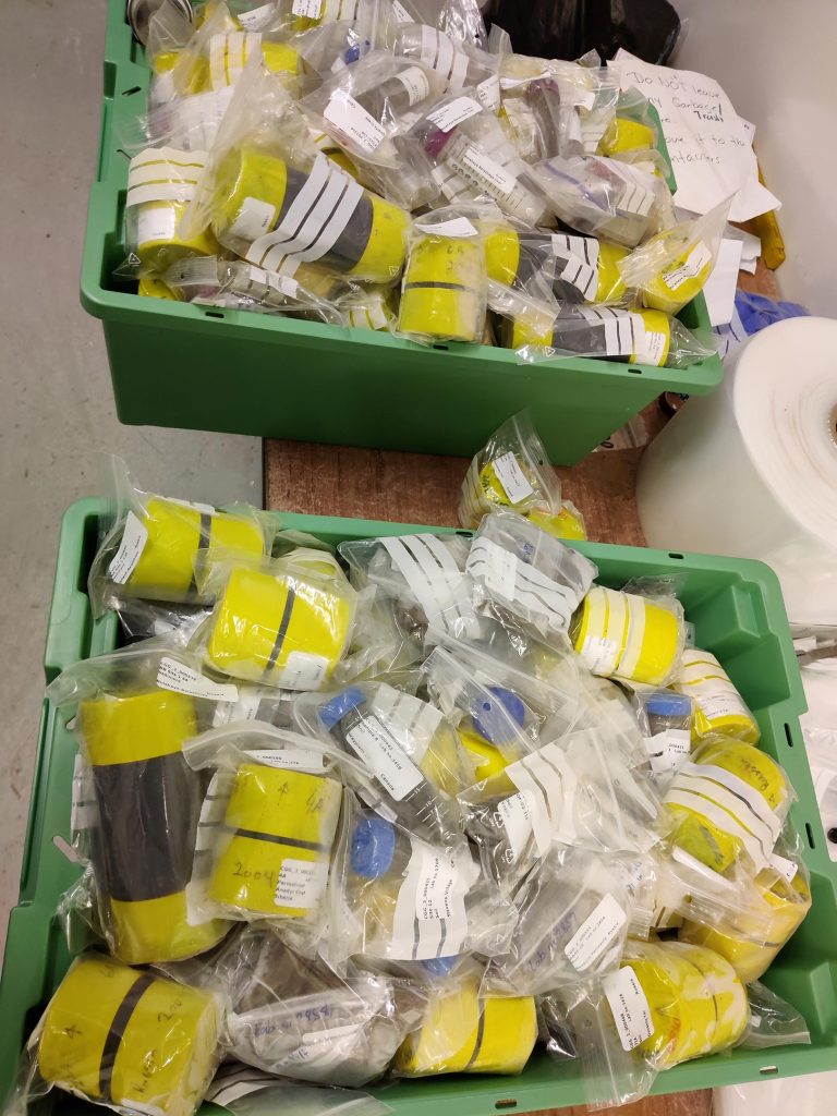 Arctic Sediment Sub Samples