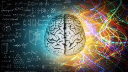 Brain Intelligence Math Creativity Concept