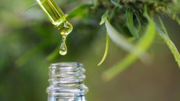 Cannabidiol CBD