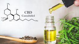 CBD Cannabidiol