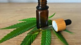 CBD Oil