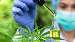 CBD Testing Concept