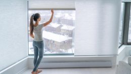 Cellular Window Shades