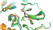 COVID-19 Viral Protein