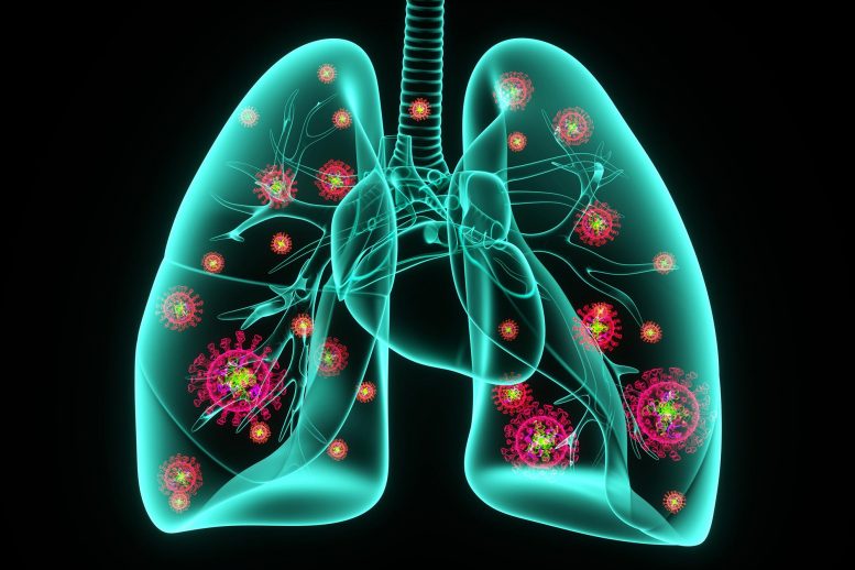 COVID Lungs Heart Concept