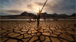 Dried Lake Drought Global Warming