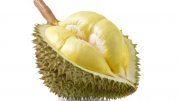 Durian Fruit