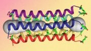 Five-Helix Bundle of the SARS-CoV-2 Envelope Protein E