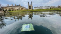 Floating Artifical Leaf Cambridge