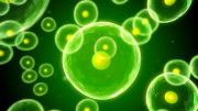 Glowing Green Cells