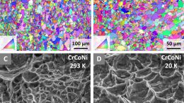 Grain Structures and Crystal Lattice Orientations