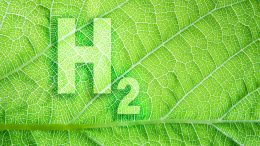 Green Hydrogen Leaf