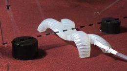 Harvard Develops Felxible Robot of the Future