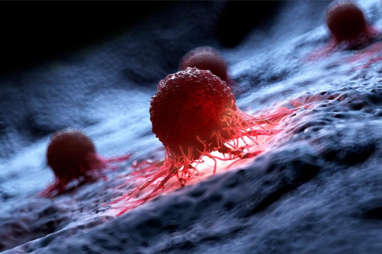 Human Cancer Cell Illustration