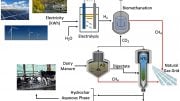Integrated Biorefinery Utilizing Agriculture Waste Biomass