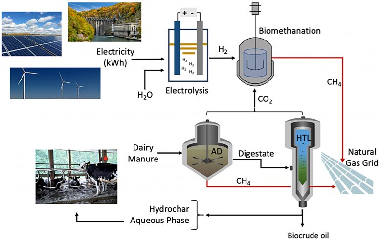 Integrated Biorefinery Utilizing Agriculture Waste Biomass