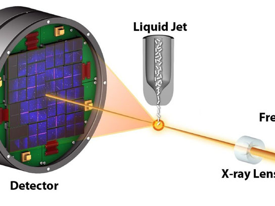 lasers reveal detailed architecture of proteins