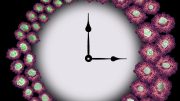 Macrophage Clock