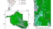 Map Jaru Biological Reserve Flux Tower