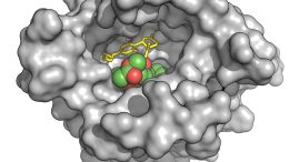 Marijuana-Derived Compounds Could Reverse Opioid Overdoses