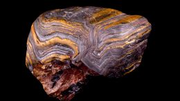 Metamorphosed Banded Iron Formation Rock Specimen