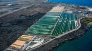 Microalgae Cultivation Facility