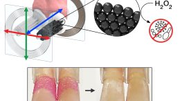 Microrobots Teeth