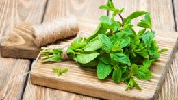 Mint Plant Cutting Board