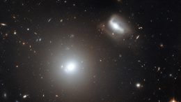 NGC 3558 and LEDA 83465