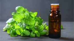 Peppermint Oil