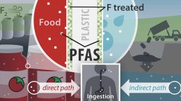 PFAS High Density Polyethylene (HDPE) Plastic Containers Graphic