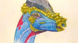 Reconstruction of Ornamental Headgear of Pachycephalosaur