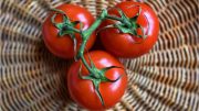 Ripe Tomatoes