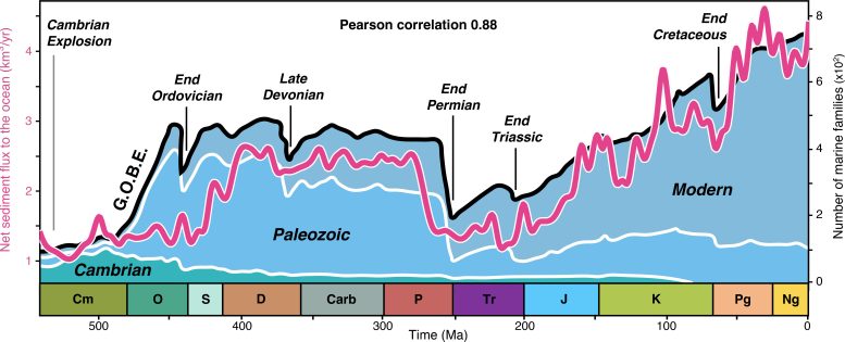 Sediment Flux to Oceans and Diversity of Marine Species