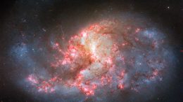 Spiral Galaxy NGC 1385