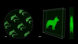 SpyLigation Microscopic 2D and 3D Images