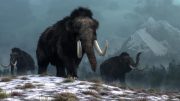 Trio of Woolly Mammoths