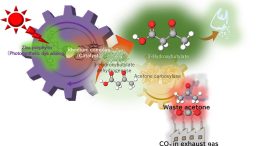 Turning Waste CO2 and Acetone Into Biodegradable Plastic Precursor