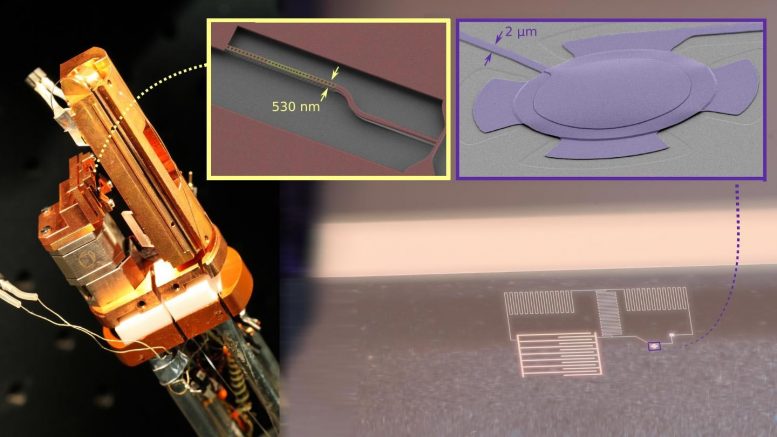 Two Different Quantum Optomechanical Systems