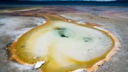 Yellowstone National Park Hot Spring