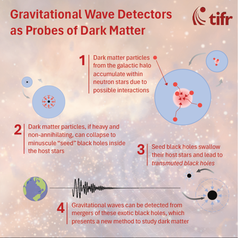 Gravitational Wave Detectors as Probes of Dark Matter